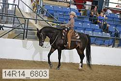 14r14_6803 proof