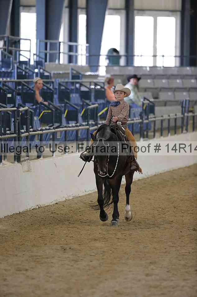 Proof 14r14_6809