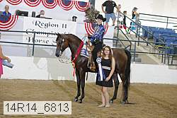14r14_6813 proof