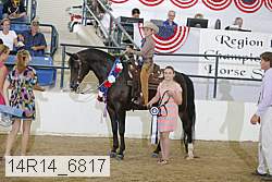 14r14_6817 proof
