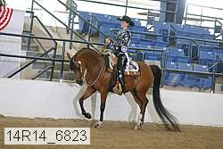 14r14_6823 proof