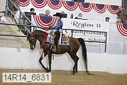 14r14_6831 proof