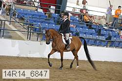 14r14_6847 proof