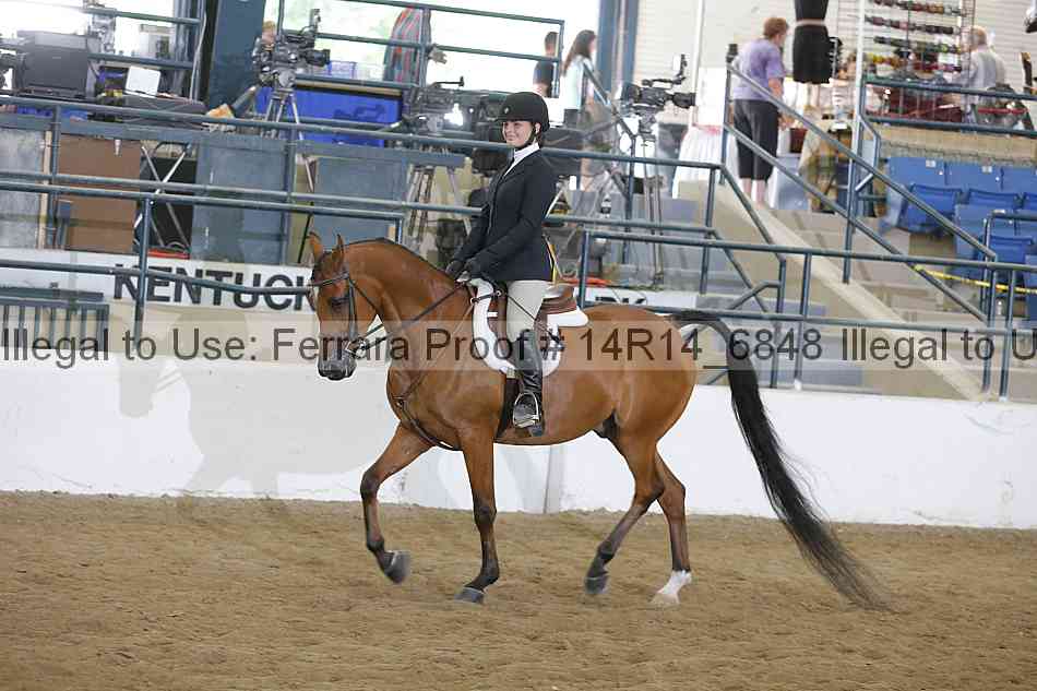 Proof 14r14_6848