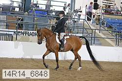 14r14_6848 proof