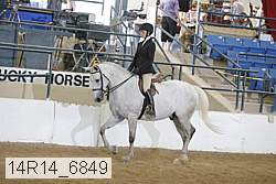 14r14_6849 proof