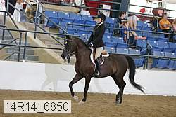 14r14_6850 proof