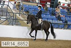 14r14_6852 proof