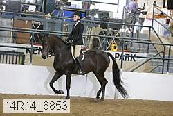 14r14_6853 proof