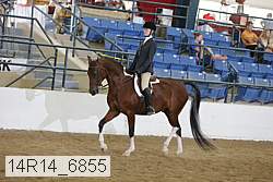 14r14_6855 proof
