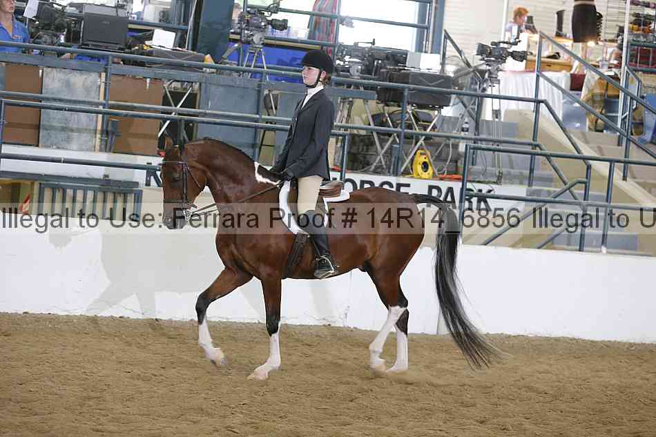 Proof 14r14_6856