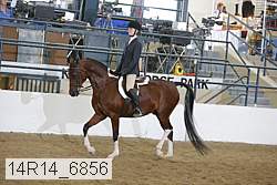 14r14_6856 proof