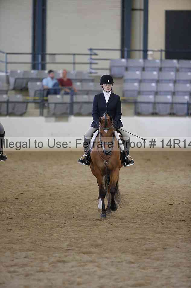 Proof 14r14_6857
