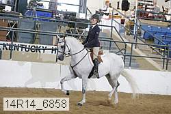 14r14_6858 proof