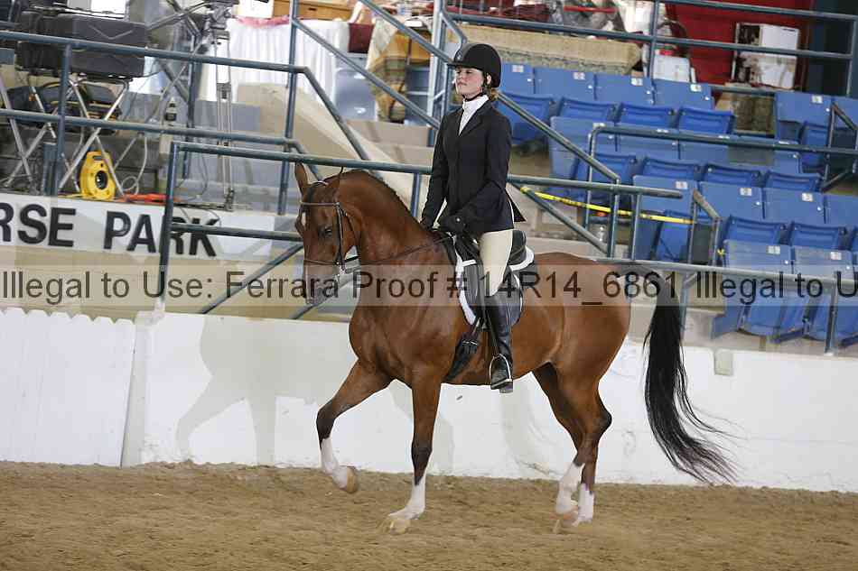 Proof 14r14_6861