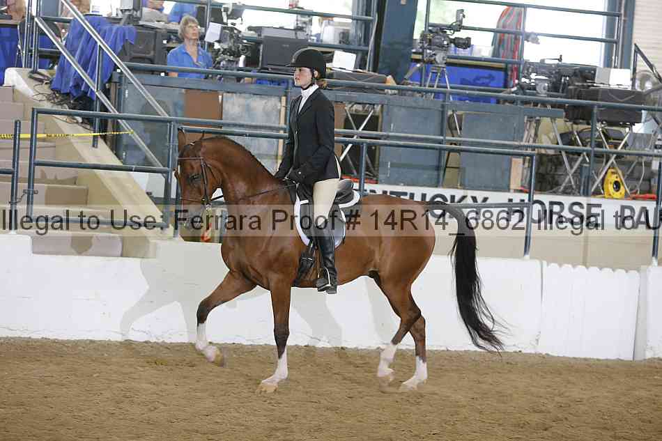 Proof 14r14_6862