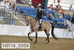 14r14_6864 proof