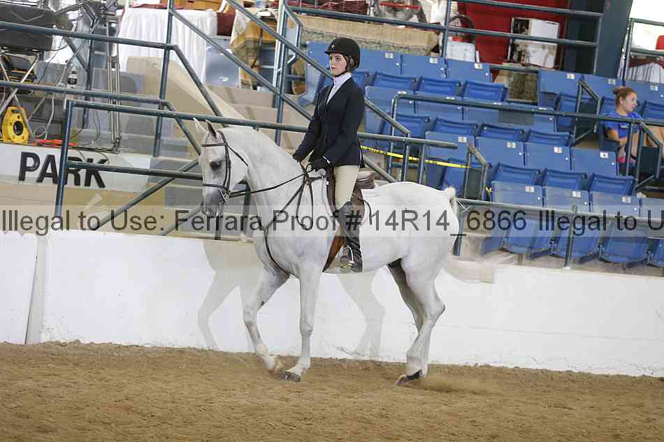 Proof 14r14_6866