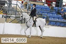 14r14_6866 proof