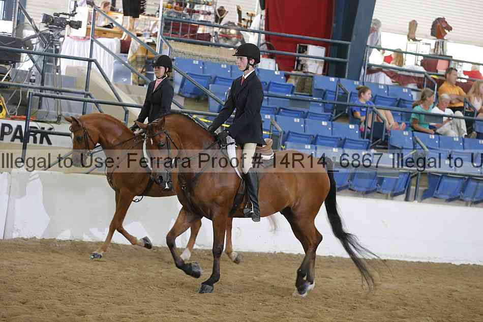 Proof 14r14_6867