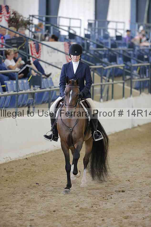 Proof 14r14_6871