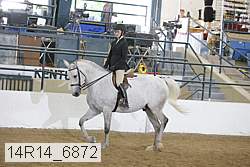 14r14_6872 proof