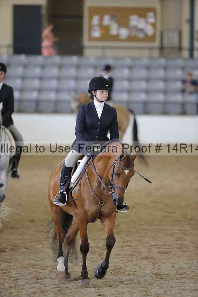 Proof 14r14_6873