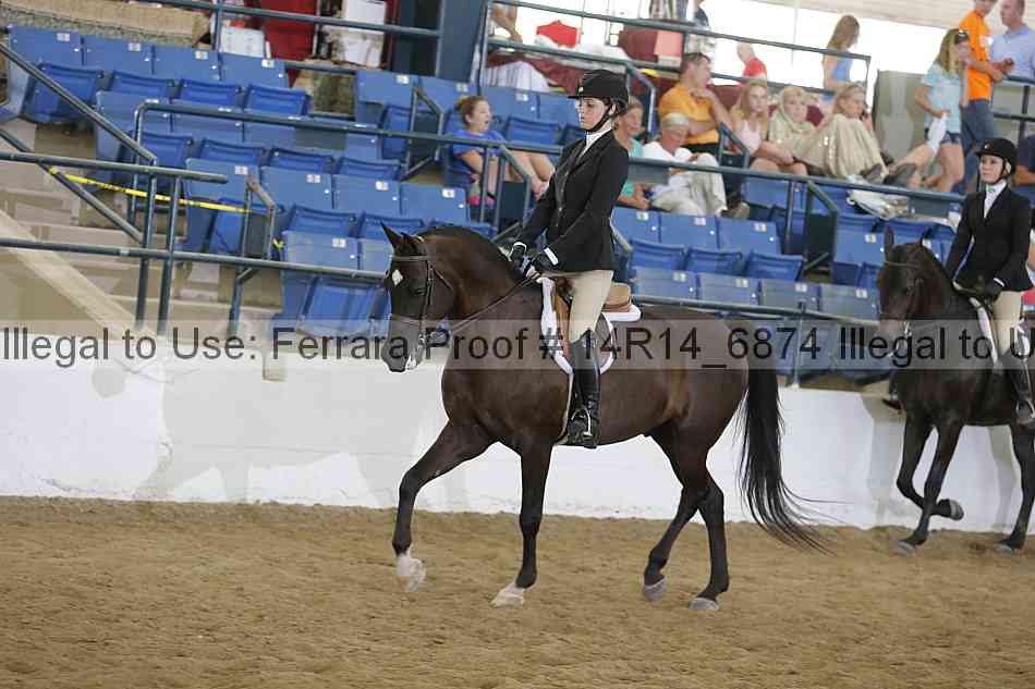 Proof 14r14_6874