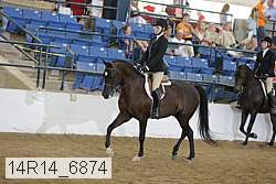 14r14_6874 proof