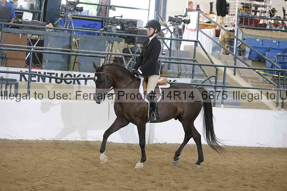 Proof 14r14_6875