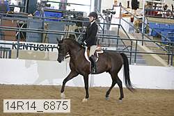 14r14_6875 proof