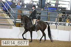 14r14_6877 proof