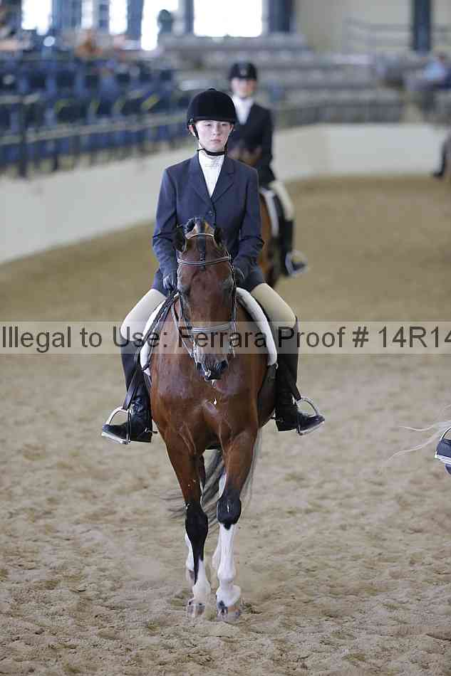 Proof 14r14_6878