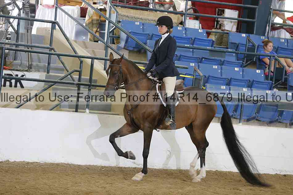 Proof 14r14_6879