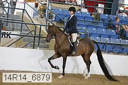 14r14_6879 proof