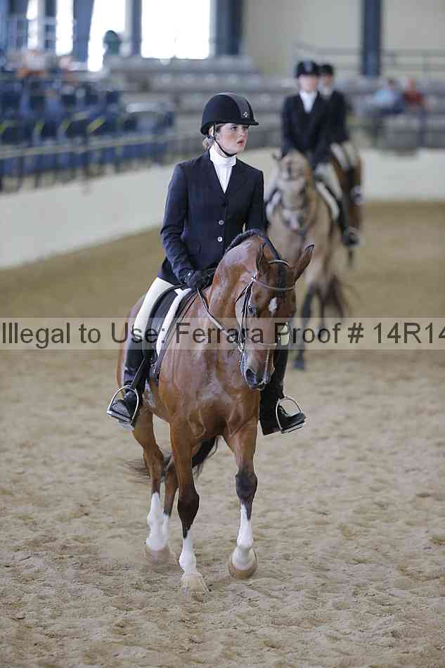 Proof 14r14_6880