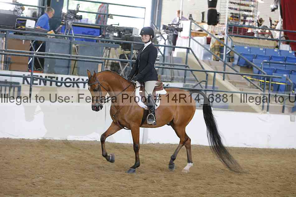 Proof 14r14_6881