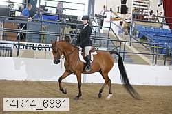 14r14_6881 proof