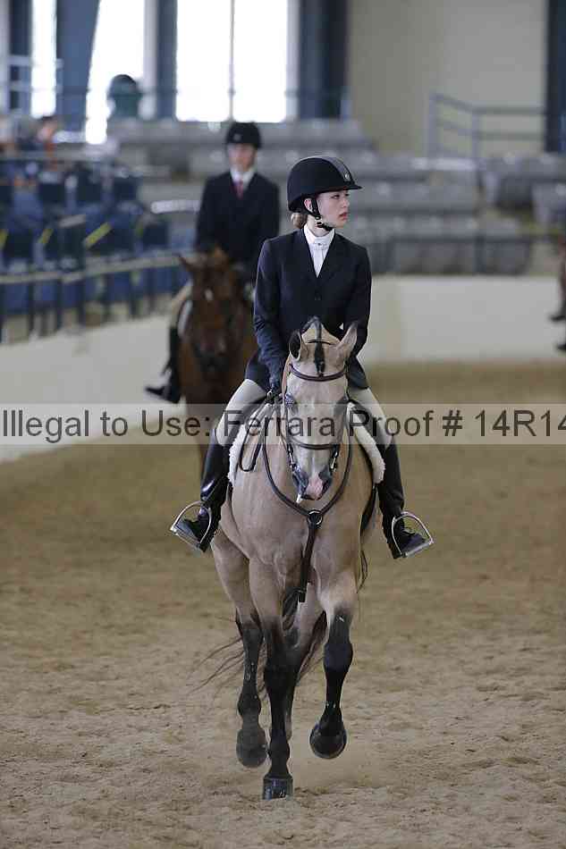 Proof 14r14_6882