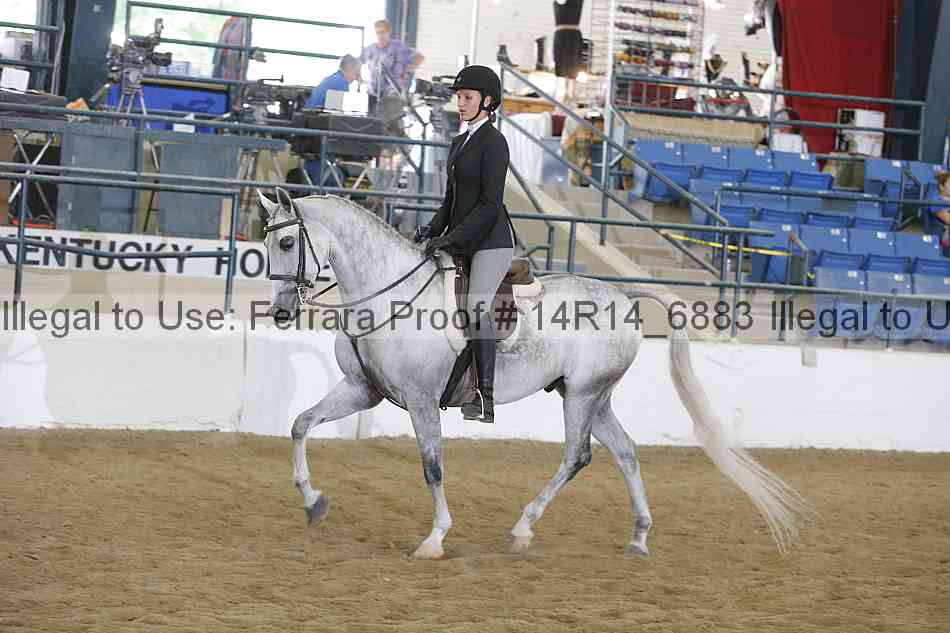 Proof 14r14_6883