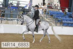 14r14_6883 proof