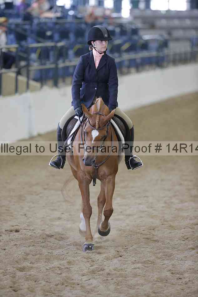 Proof 14r14_6889