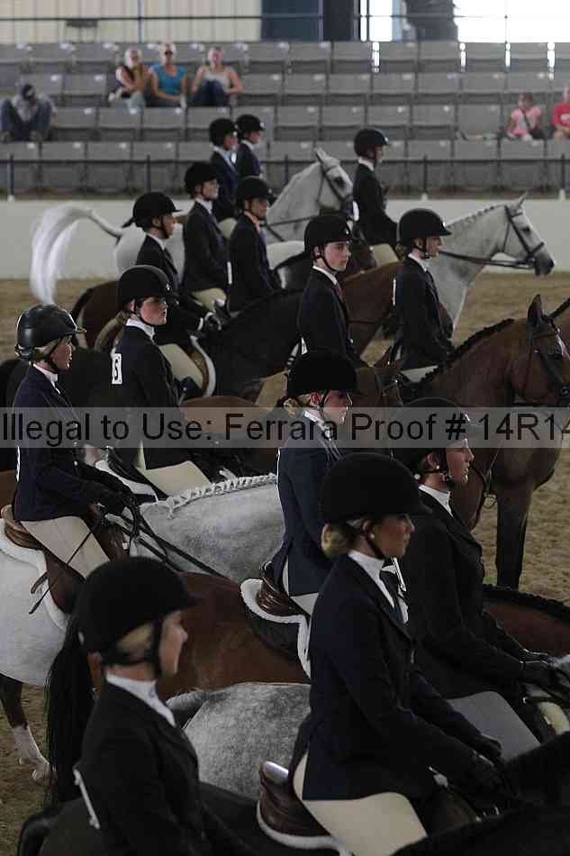 Proof 14r14_6895