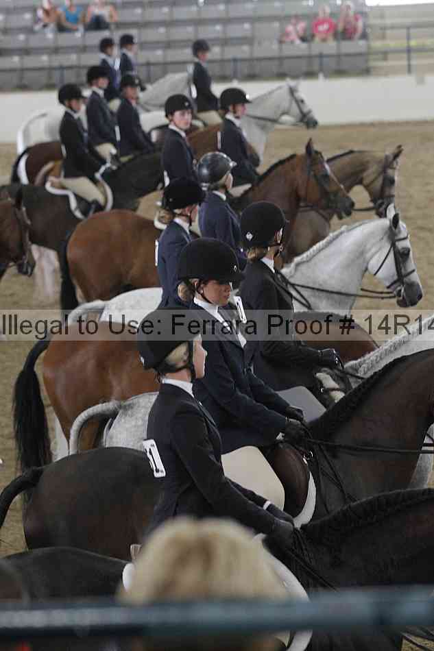 Proof 14r14_6896
