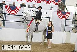 14r14_6899 proof