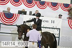 14r14_6903 proof