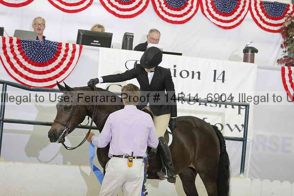 Proof 14r14_6904