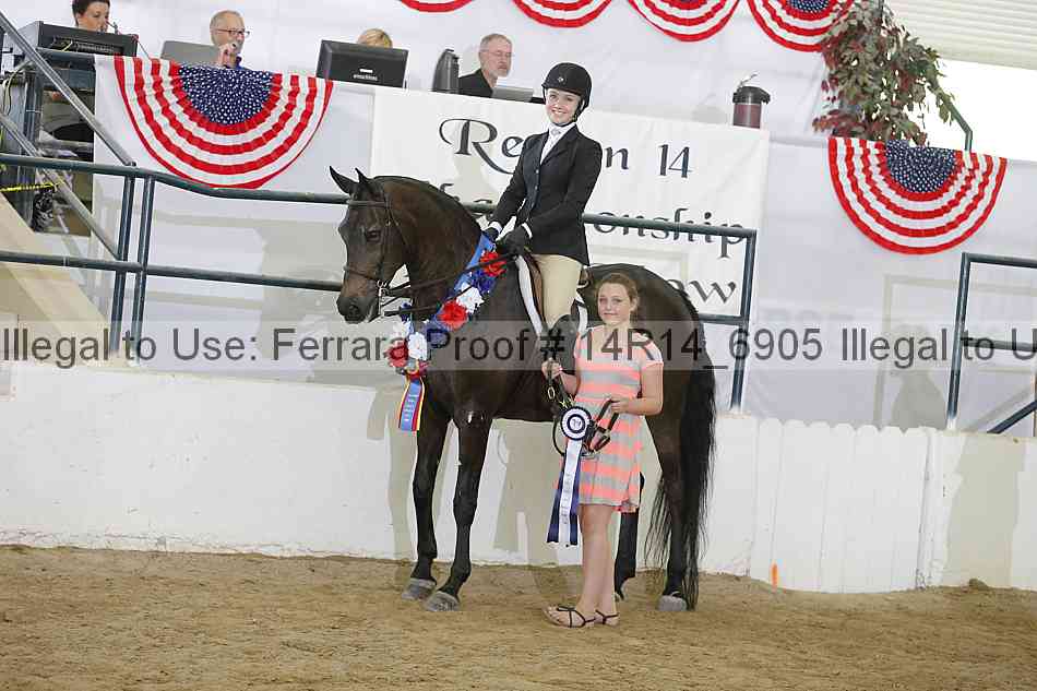 Proof 14r14_6905