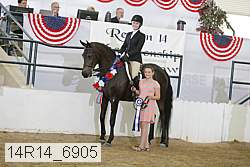 14r14_6905 proof