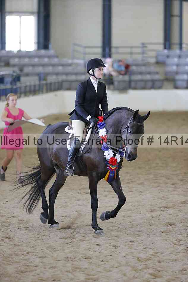 Proof 14r14_6907